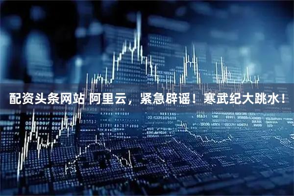 配资头条网站 阿里云，紧急辟谣！寒武纪大跳水！